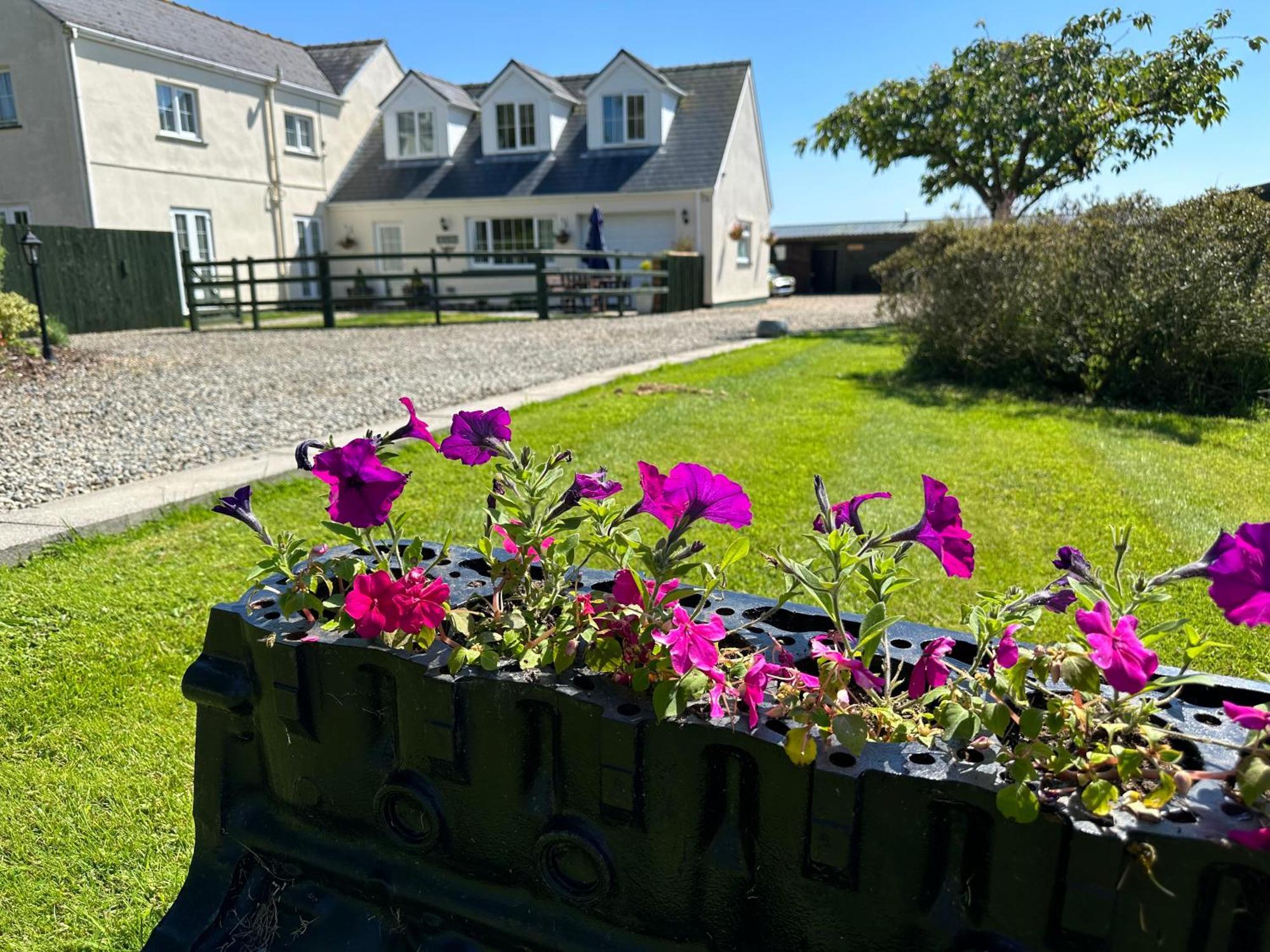 The Cow Shed Appartement Narberth Buitenkant foto