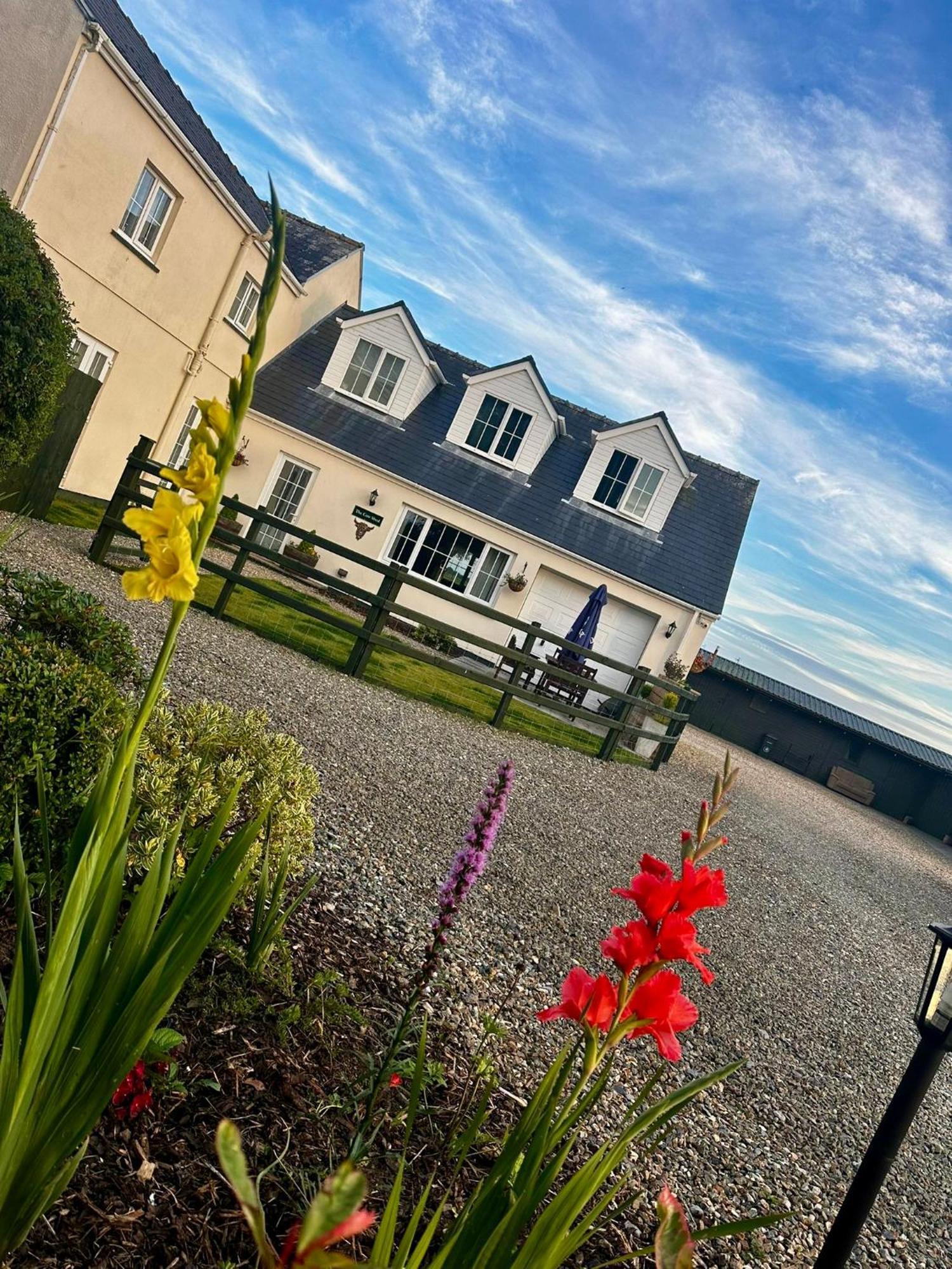 The Cow Shed Appartement Narberth Buitenkant foto